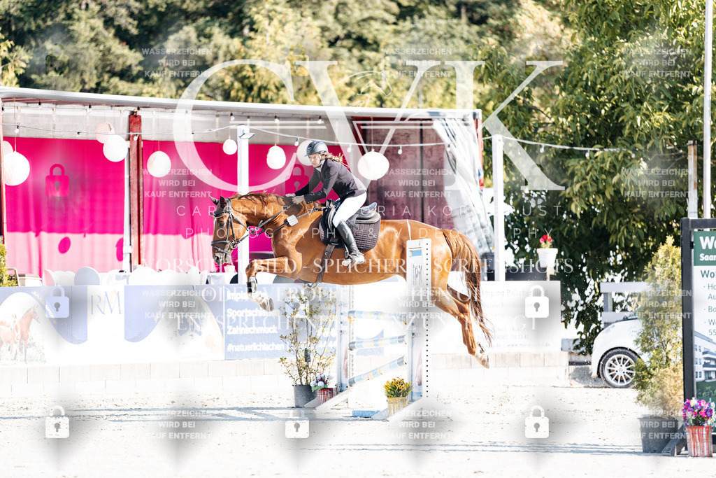 CK901671 | Turnierfotografie Pferdefotografie Trier Rheinland-Pfalz Pferdesport Reitsport Tierfotografie Sportfotografie Pferdevideo Pferdevideografie Equestrianvideography equestrianphotography  - Realisiert mit Pictrs.com