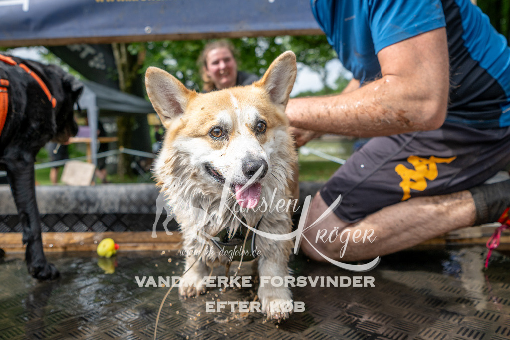 1013_ZZ90180 | kk-dogfotos