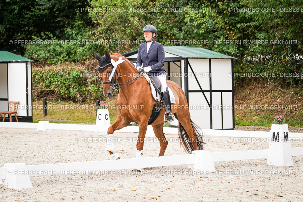 DSC08128 | Pferdegrafie