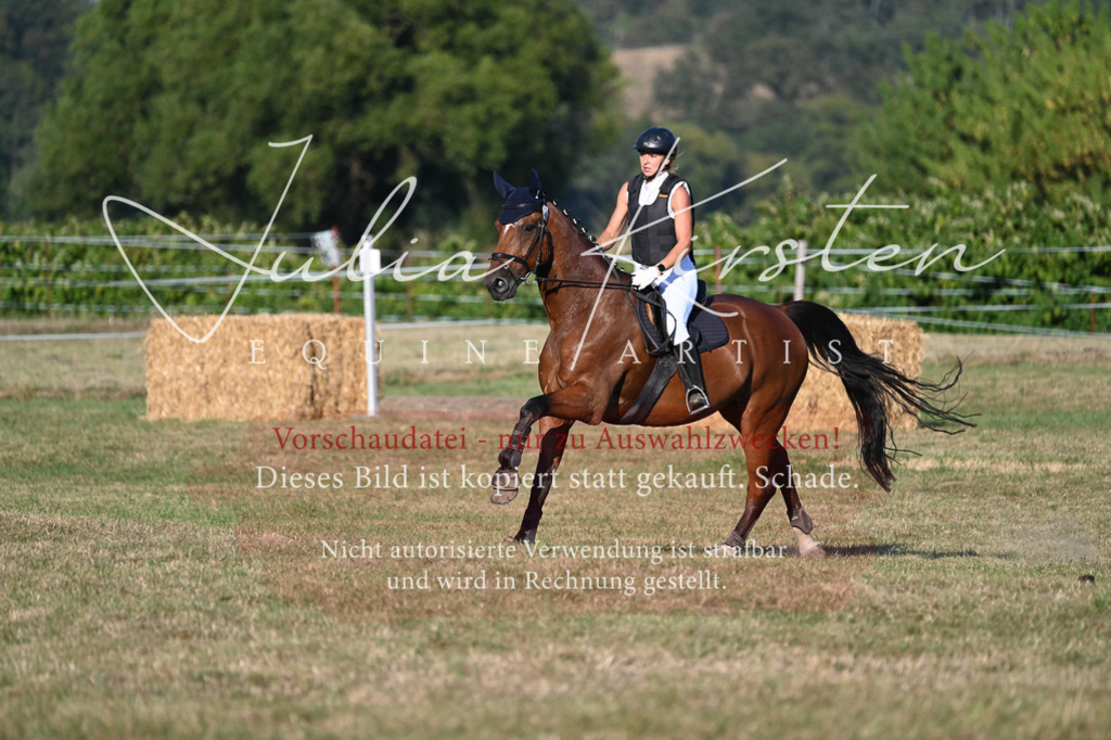DSC_9122 | Pferde- und Turnierfotografie in Westsachsen. Pferdeportraits, Auftragszeichnungen und intuitive Kunst.