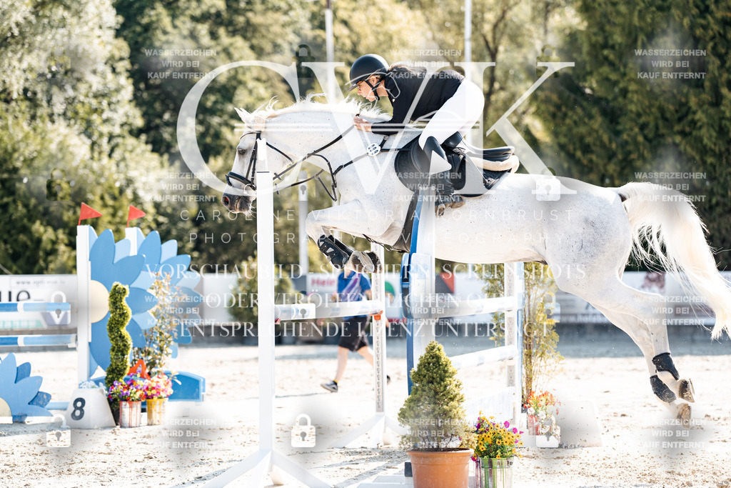 CK902472 | Turnierfotografie Pferdefotografie Trier Rheinland-Pfalz Pferdesport Reitsport Tierfotografie Sportfotografie Pferdevideo Pferdevideografie Equestrianvideography equestrianphotography  - Realisiert mit Pictrs.com