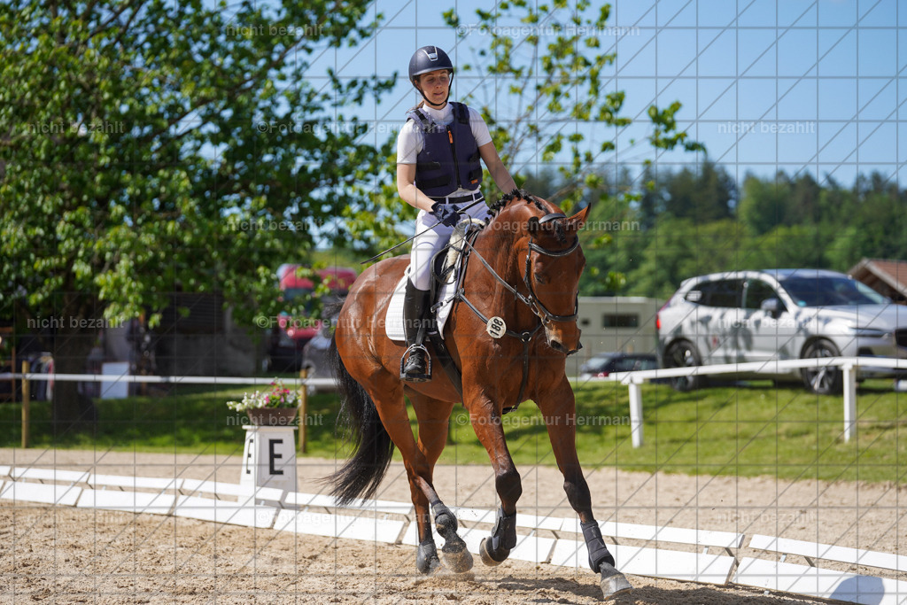 20240518-FAH03169 | rbilder, Turnierfotografen ayern, Fotoagentur Herrmann, Geländeturnier, Springbilder, Dressurbilder, Jungpferdefotograf