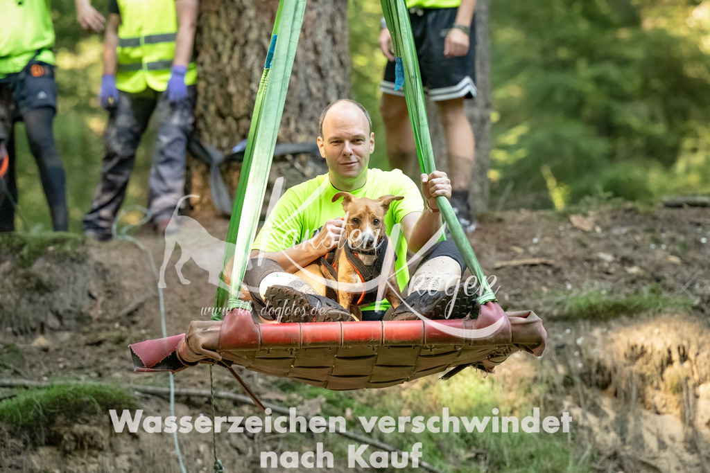 1411_ZZ94738-Bearbeitet-2 | kk-dogfotos