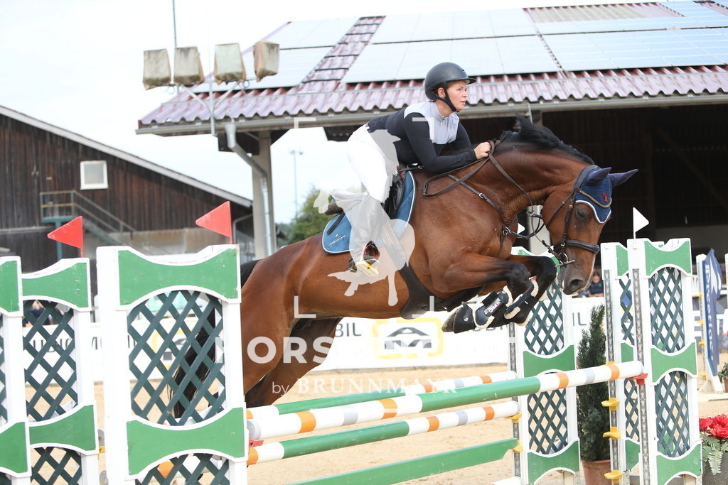 DL2Q2463 | Willkommen bei Brunnmayr - Design & Fotografie – Ihrem Spezialisten für Reitturniere und Pferdeveranstaltungen in Oberösterreich, Salzburg und Bayern! Seit über 17 Jahren sind wir leidenschaftlich dabei.