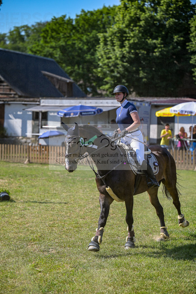 Reitturnier Voxtrup | Entdecke hochwertige Reitturnierfotos von Foto Oger. Professionell, emotional und authentisch – jetzt Lieblingsmomente im Shop bestellen.Deutschlandweite Turnierfotografie. - Realisiert mit Pictrs.com