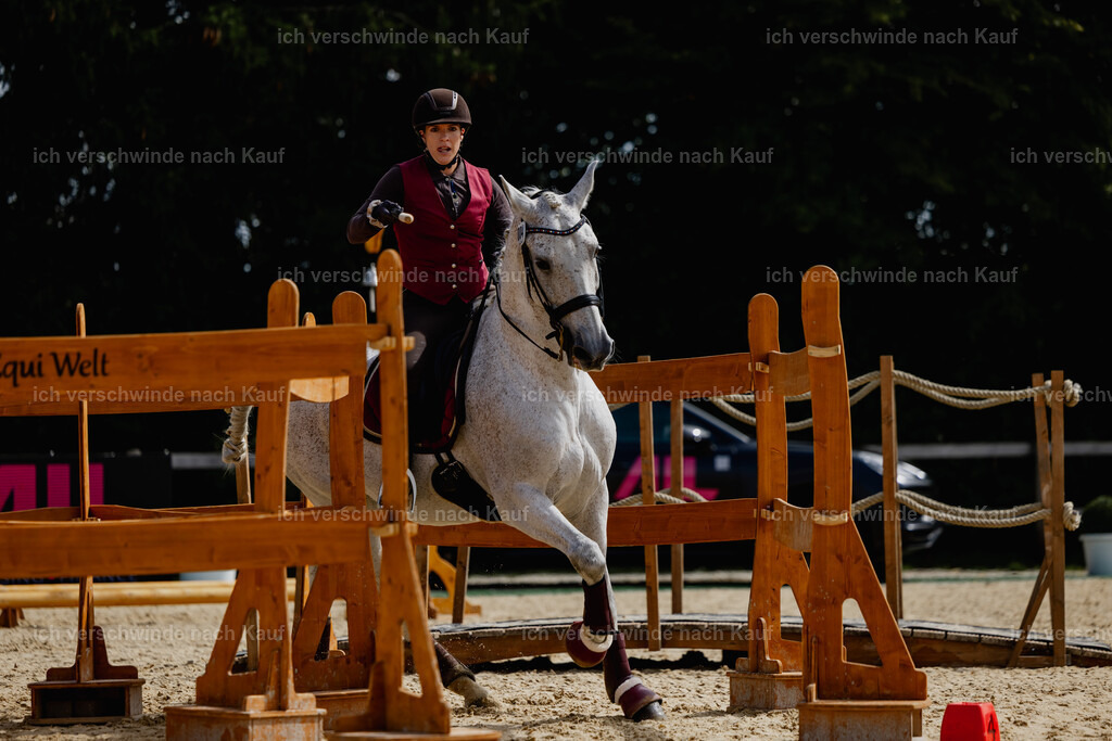 Kelly4_FHC2025-20277 | working equitationturnier fotograf videograf stoibphotography marixx film working equitation deutschland reitsport turnierfotografie eventfotografie equestrian events