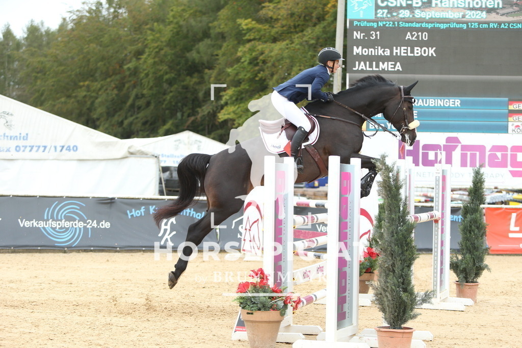 DL2Q5149 | Willkommen bei Brunnmayr - Design & Fotografie – Ihrem Spezialisten für Reitturniere und Pferdeveranstaltungen in Oberösterreich, Salzburg und Bayern! Seit über 17 Jahren sind wir leidenschaftlich dabei.