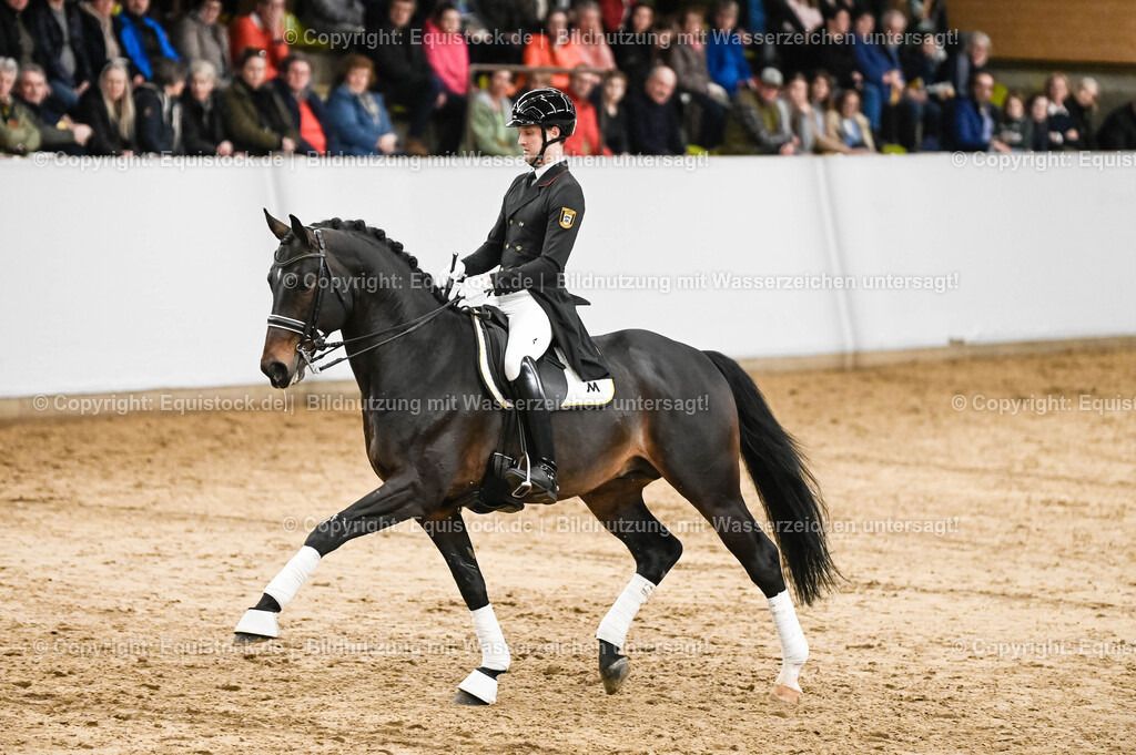 20260307_Hengstvorstellung-Marbach_0213 | equistock