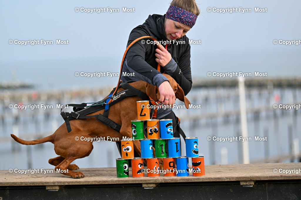 DSC_6462 | Hallo und herzlich Willkommen auf meiner Shop-Seite Fynn Most.

Ich wünsche Dir viel Spaß beim stöbern durch die Bilder, wenn Du Fragen hast oder Bilder vermisst, kannst du mir gerne eine Nachricht schreiben. - Realisiert mit Pictrs.com