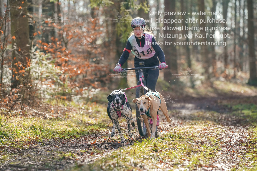 So_Scooter_2-19 | stephaniefillaphotographie - Realisiert mit Pictrs.com