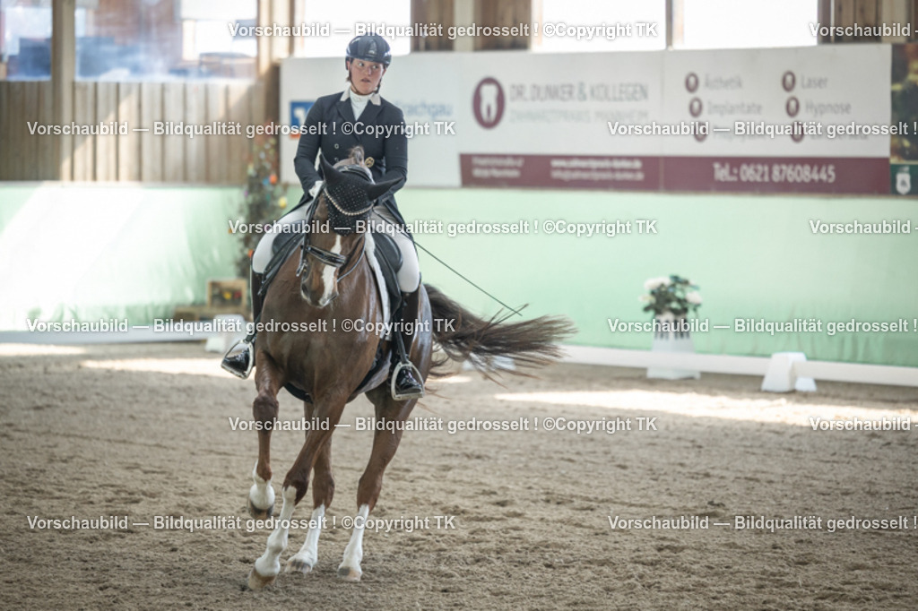 _D5A9354 | Emotionale Pferde- & People-Fotografie rund um Heidelberg, Leimen & Umgebung. Natürliche Fotos von Pferd, Mensch & Familie. Jetzt Termin sichern!