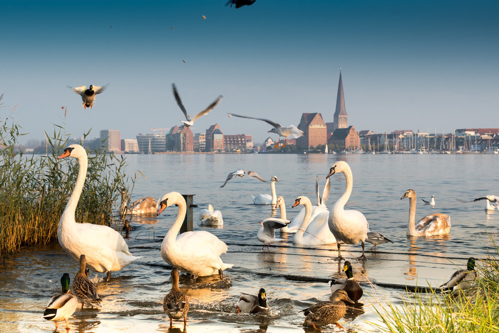 DSC_5368 | Das Ostsee Atelier, enthält preisgekrönte Fotografien des Künstlers Holger Martens. Dünenbilder, Strandfotos, Ostseebilder, Fotografien vom Meer.