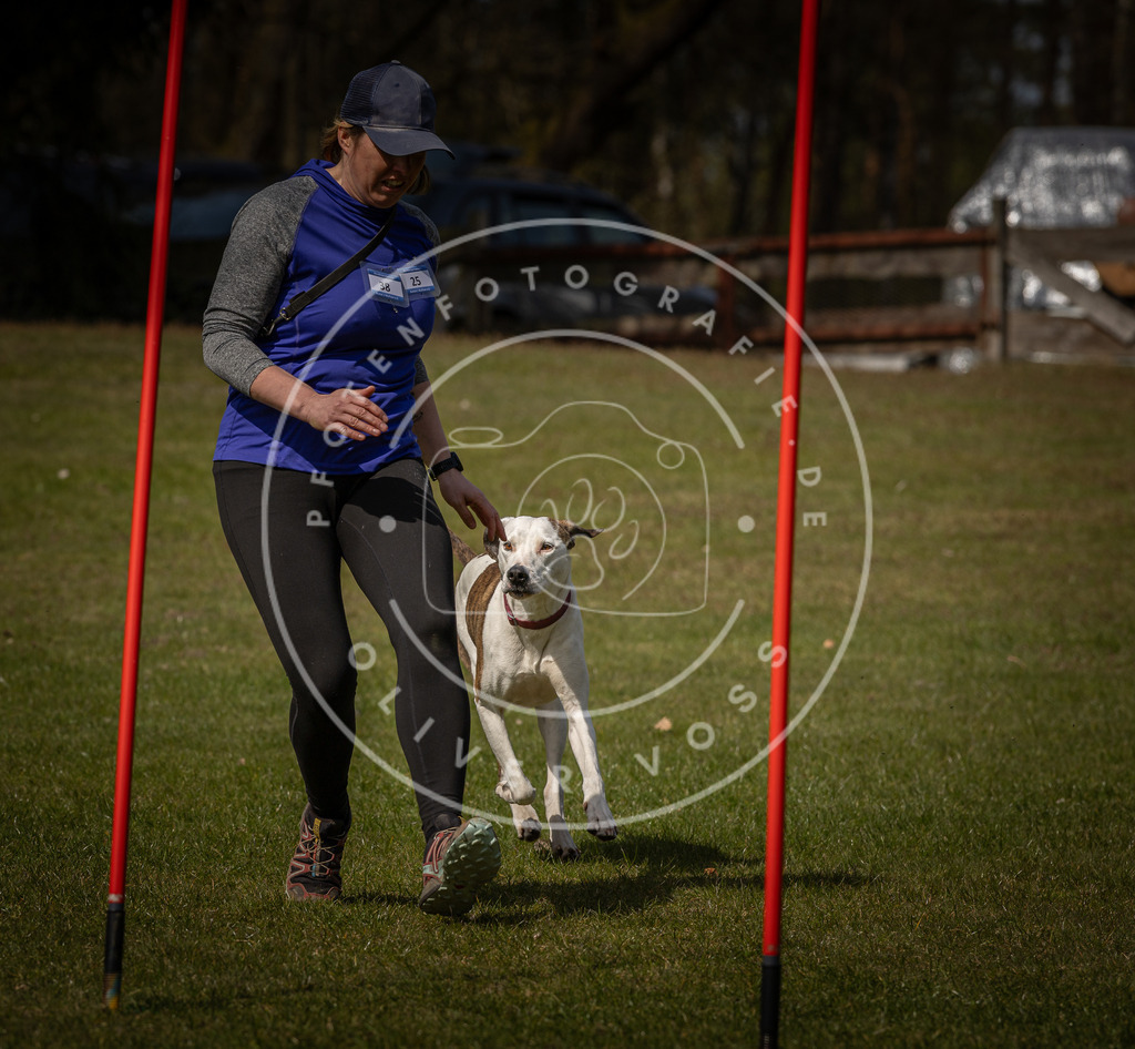 Pfotenfotografie_DV3A4593 | Hundefotografie, Tierfotograf, Pfotenfotografie, Fotoshooting Hund, Hunde Portrait, Hundesport, Hundeportraits, Heideshooting, Hunde, Sportfotograf, Hundefotograf, Turnierhundsport, THS,  - Realisiert mit Pictrs.com