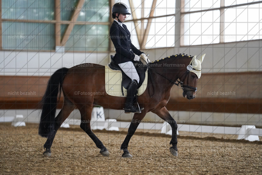 20240825-FAH09517 | Turnierbilder, Reitsportfotos, LAPO, Landesponyturnier, Turnierfotografen Bayern