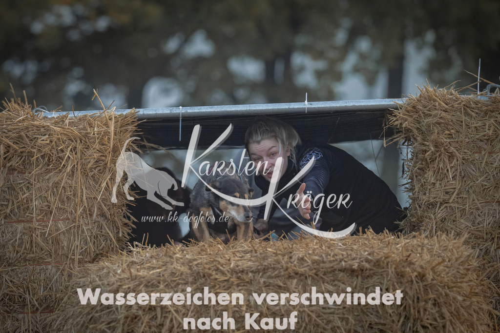 0833_ZZ98245 | kk-dogfotos