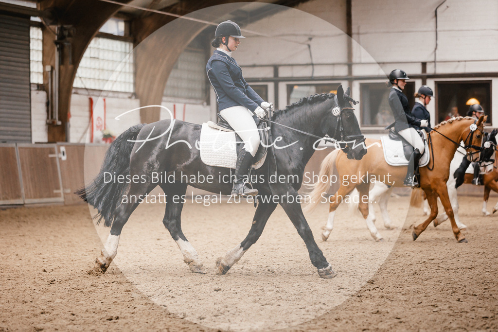 3I6A7957 | Stimmungsvolle Portraits und Reitsportfotografie im Ruhrgebiet und im Münsterland.

Pferdefotografie, Hundefotografie, Tierfotografie, Reportagen, Portraits von Tier und Mensch, Turnierfotografie in Bochum, Recklinghausen, Marl, Haltern am See, Dülmen.. - Realisiert mit Pictrs.com