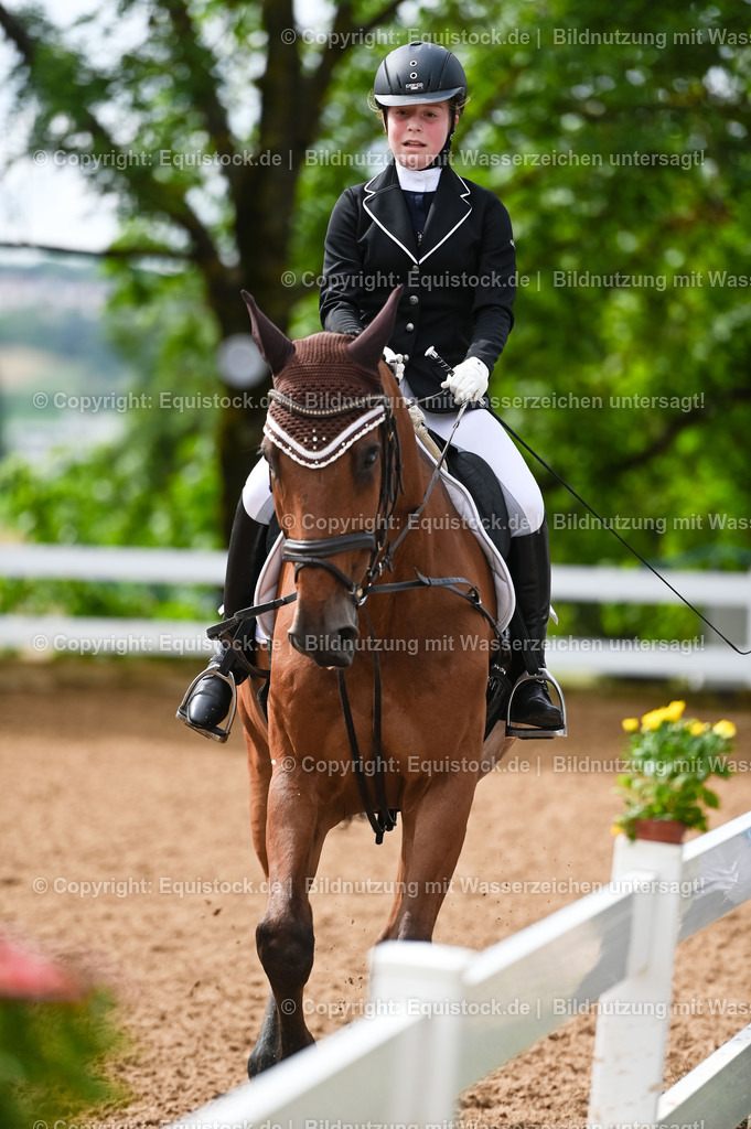 20230716_10-1_Reiter-WB Schritt - Trab - Galopp_0106 | equistock