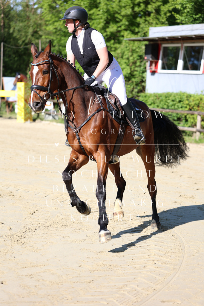 IMGS5245 | pl-fotografie