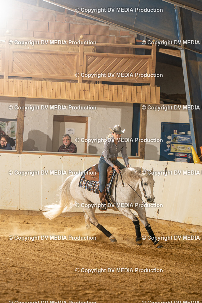 MIT00489 | dv-media-shop - Realisiert mit Pictrs.com