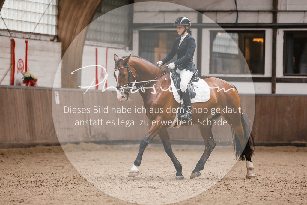 3I6A7348 | Stimmungsvolle Portraits und Reitsportfotografie im Ruhrgebiet und im Münsterland.

Pferdefotografie, Hundefotografie, Tierfotografie, Reportagen, Portraits von Tier und Mensch, Turnierfotografie in Bochum, Recklinghausen, Marl, Haltern am See, Dülmen.. - Realisiert mit Pictrs.com