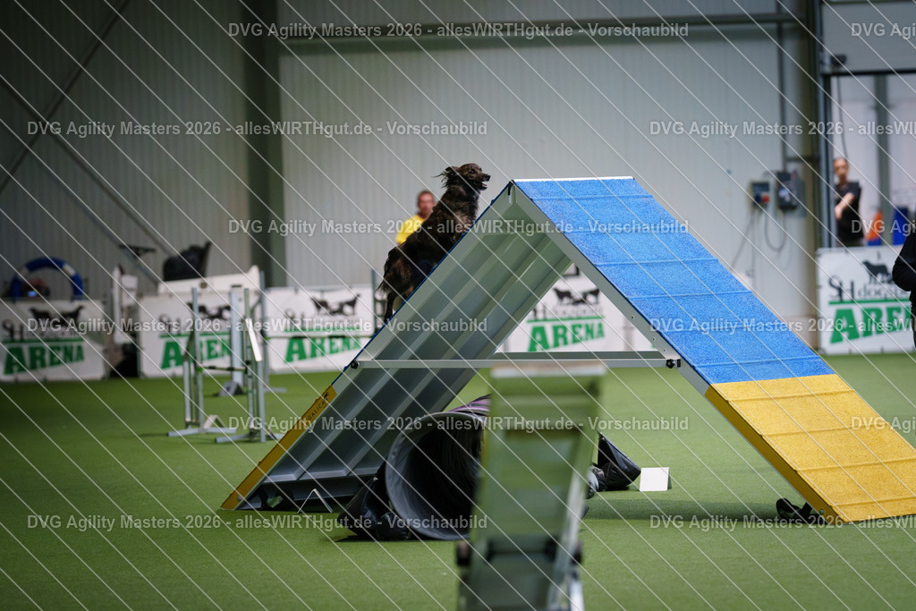 allesWIRTHgut_Tierfotografie-DVG_Agility_Masters_2026-13_41-7R509879 | Professionelle Tierfotografie in Mönchengladbach von Daniel Wirth (allesWIRTHgut). Liebevolle & natürliche Bilder von Hunden & Katzen für unvergessliche Erinnerungen.