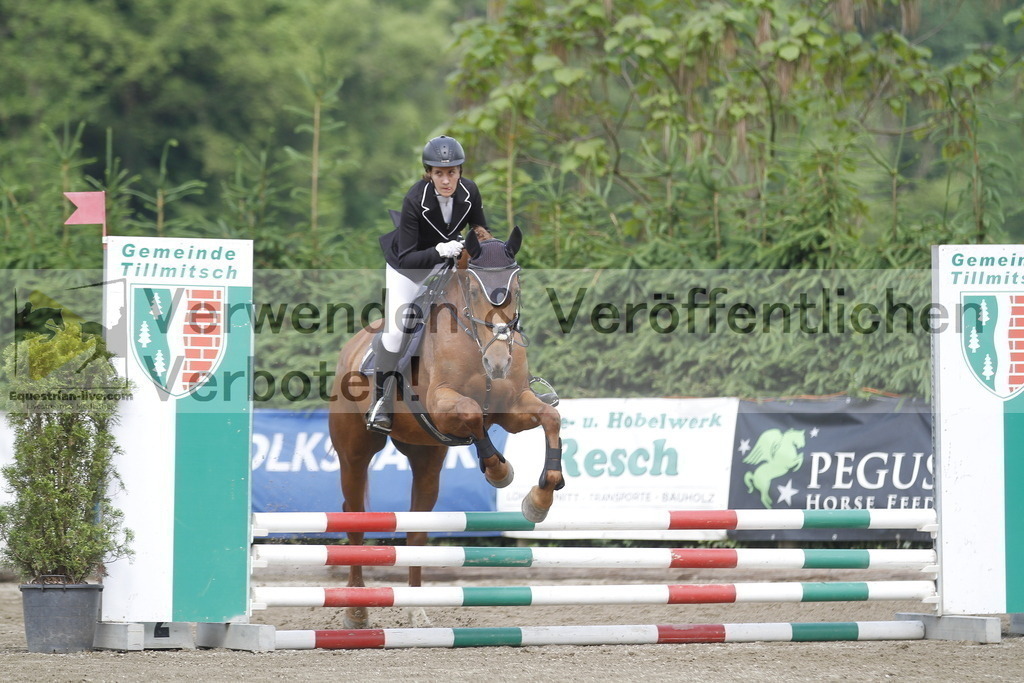 _MG_4498 | equestrian-live-com