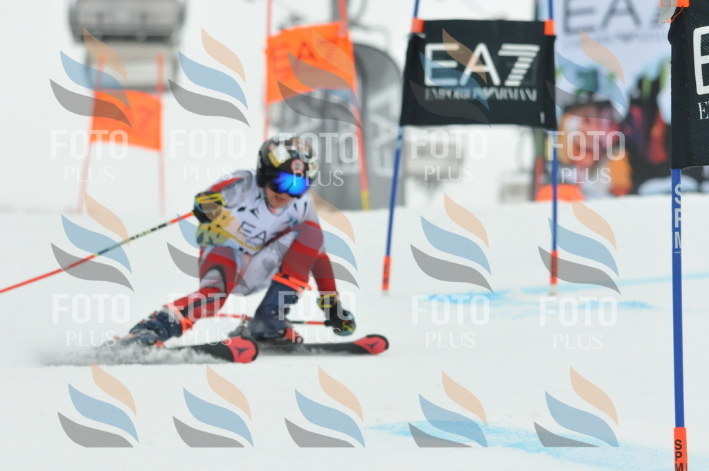 DSC_8618 | holidayphoto