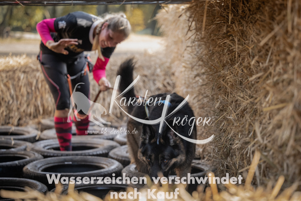 1049_ZZ99317 | kk-dogfotos