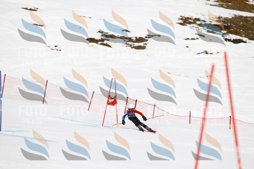 _U3G5939 | holidayphoto