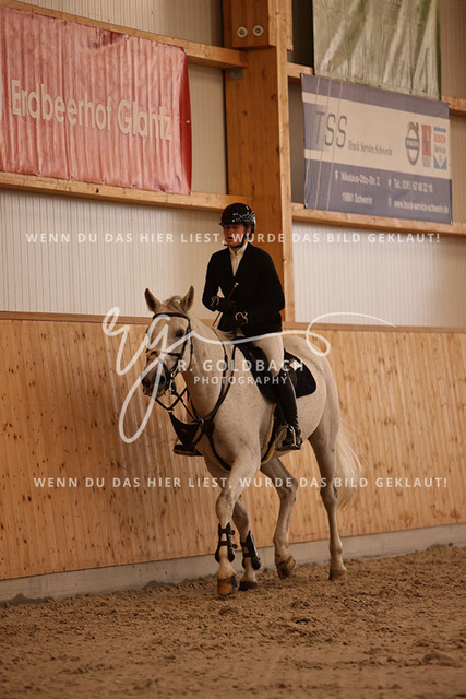 1J2A3117Johanna Dobner_ Caramella 20_ Kn066_ Hohen Wieschendorf_ Glantz | Foto- und Videografie für alles rund ums Pferd. Hochwertige Bilder und Videos vom Spring- und Dressurreiten, Voltigieren & mehr. Jetzt aktuelle Veranstaltungen und Preise im Shop ansehen. - Realisiert mit Pictrs.com