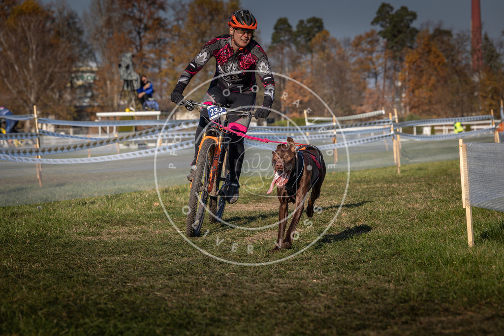 CaniXpix_0L8A6329 | Hundefotografie, Tierfotograf, Pfotenfotografie, Fotoshooting Hund, Hunde Portrait, Hundesport, Hundeportraits, Heideshooting, Hunde, Sportfotograf, Hundefotograf, Turnierhundsport, THS,  - Realisiert mit Pictrs.com