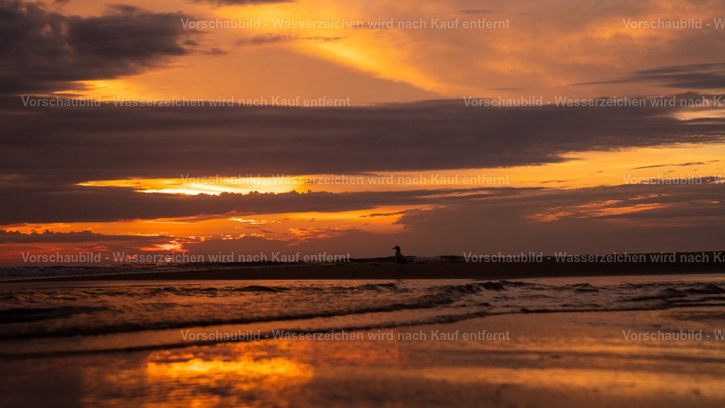 DSC08241_mega | marcuslinek