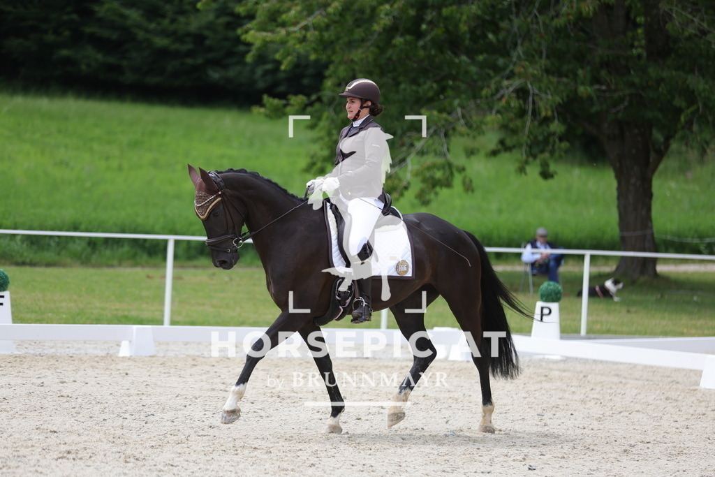 0P6A5381 | Willkommen bei Brunnmayr - Design & Fotografie – Ihrem Spezialisten für Reitturniere und Pferdeveranstaltungen in Oberösterreich, Salzburg und Bayern! Seit über 17 Jahren sind wir leidenschaftlich dabei.