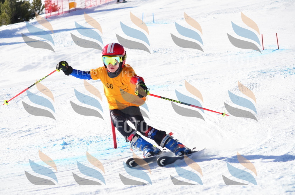 C6258 | holidayphoto