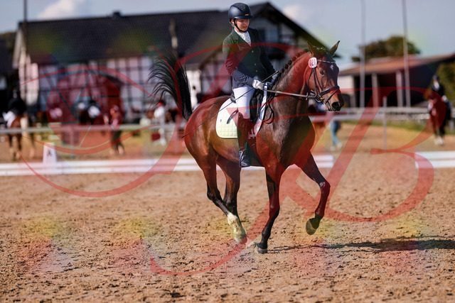 2026_10_03_Siefer-Hof_125752_Z81_46916832 | Professionelle Reitsport-, Turnier- und Eventfotografie von Robert Broda. Galerien mit ausgewählten und bearbeiteten Bildern direkt online ansehen und bestellen.