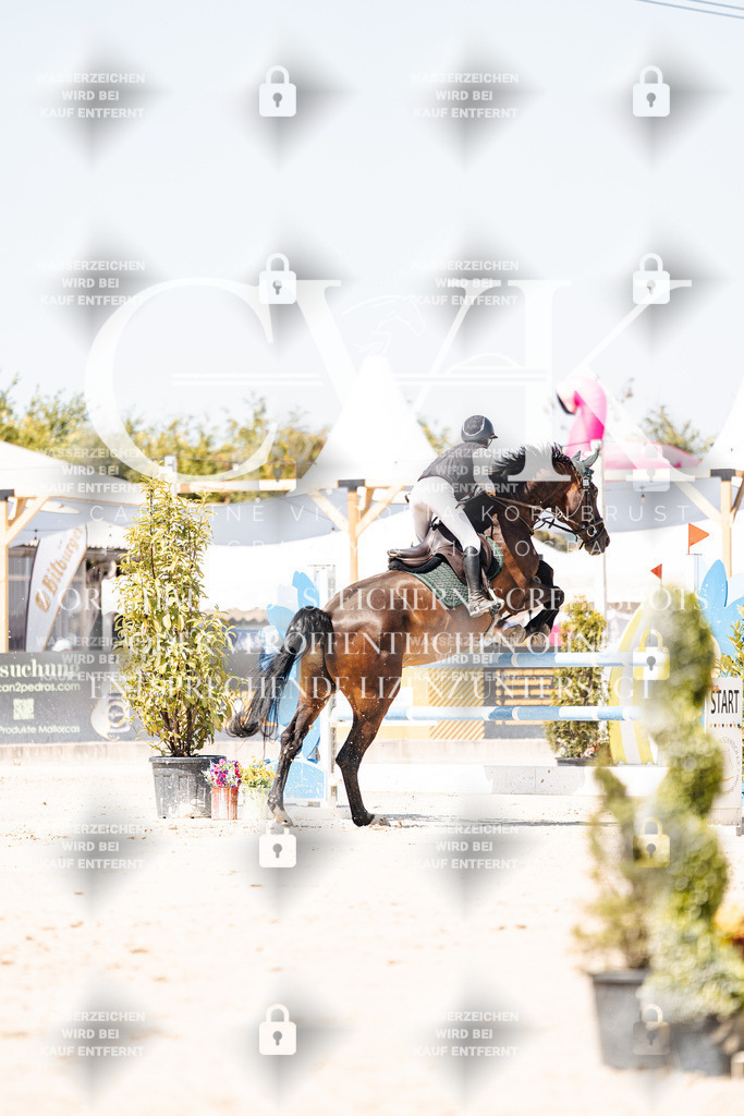 CK909649 | Turnierfotografie Pferdefotografie Trier Rheinland-Pfalz Pferdesport Reitsport Tierfotografie Sportfotografie Pferdevideo Pferdevideografie Equestrianvideography equestrianphotography  - Realisiert mit Pictrs.com
