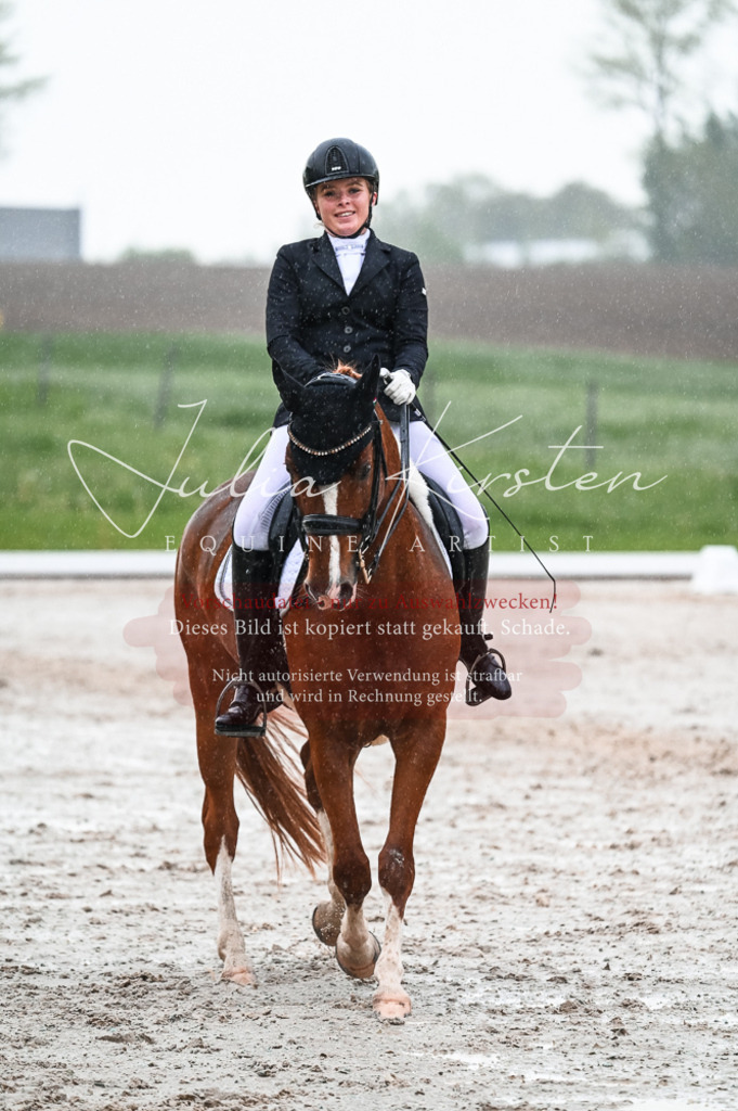 DSC_4614 | Pferde- und Turnierfotografie in Westsachsen. Pferdeportraits, Auftragszeichnungen und intuitive Kunst.