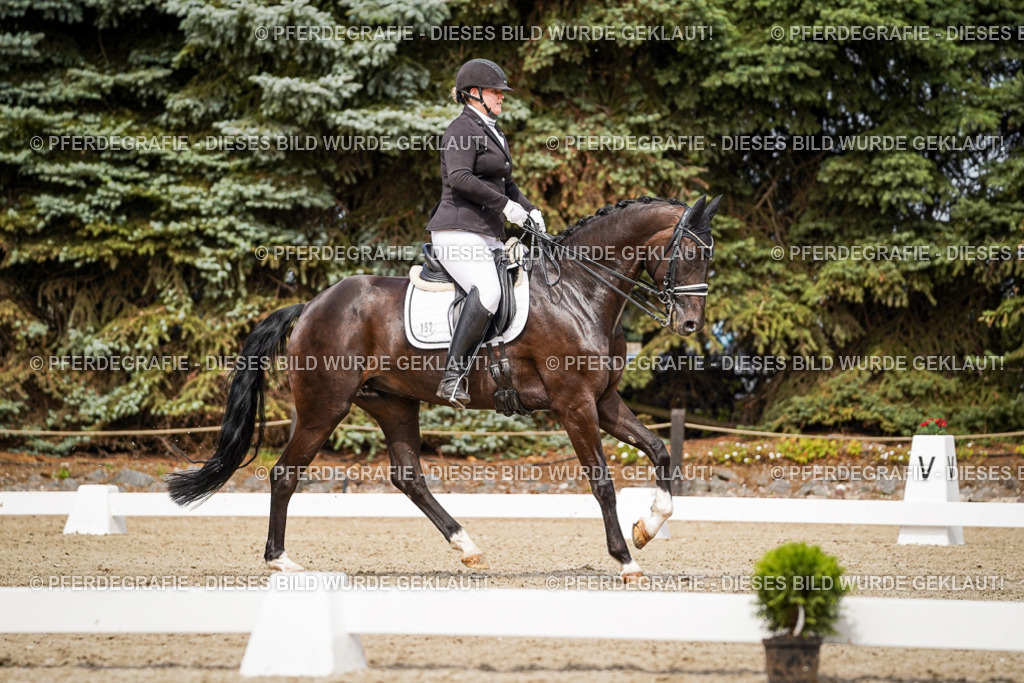 DSC05606 | Pferdegrafie