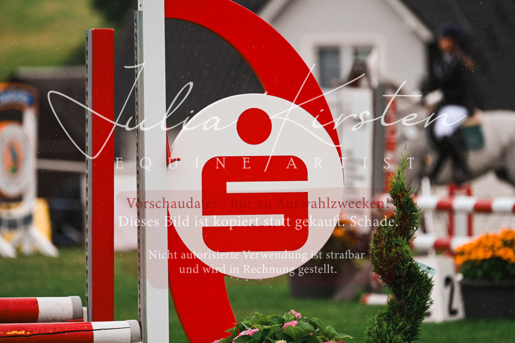 DSC_6621 | Pferde- und Turnierfotografie in Westsachsen. Pferdeportraits, Auftragszeichnungen und intuitive Kunst.
