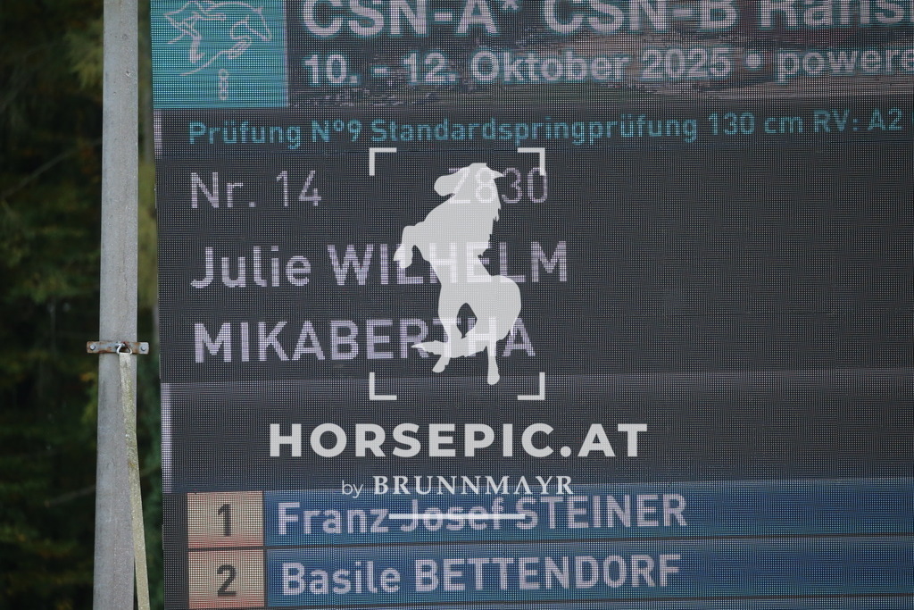 DL2Q3567 | Willkommen bei Brunnmayr - Design & Fotografie – Ihrem Spezialisten für Reitturniere und Pferdeveranstaltungen in Oberösterreich, Salzburg und Bayern! Seit über 17 Jahren sind wir leidenschaftlich dabei.