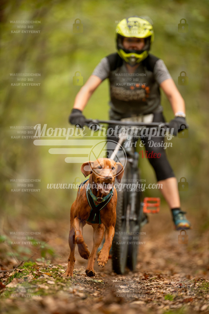 TSB_2023_E1_Bike-65 | PayLife