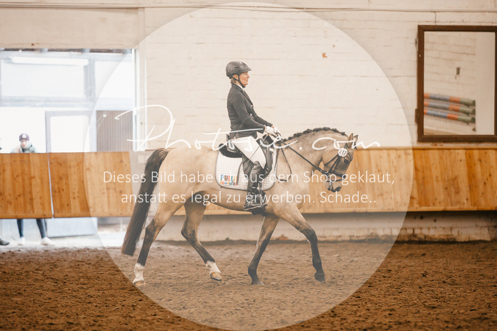 3I6A1298 | Stimmungsvolle Portraits und Reitsportfotografie im Ruhrgebiet und im Münsterland.

Pferdefotografie, Hundefotografie, Tierfotografie, Reportagen, Portraits von Tier und Mensch, Turnierfotografie in Bochum, Recklinghausen, Marl, Haltern am See, Dülmen.. - Realisiert mit Pictrs.com