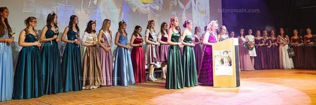 76.Gr_iwemaacher Wäinfest 2026. (115 von 243) | www.fotoromain.lu