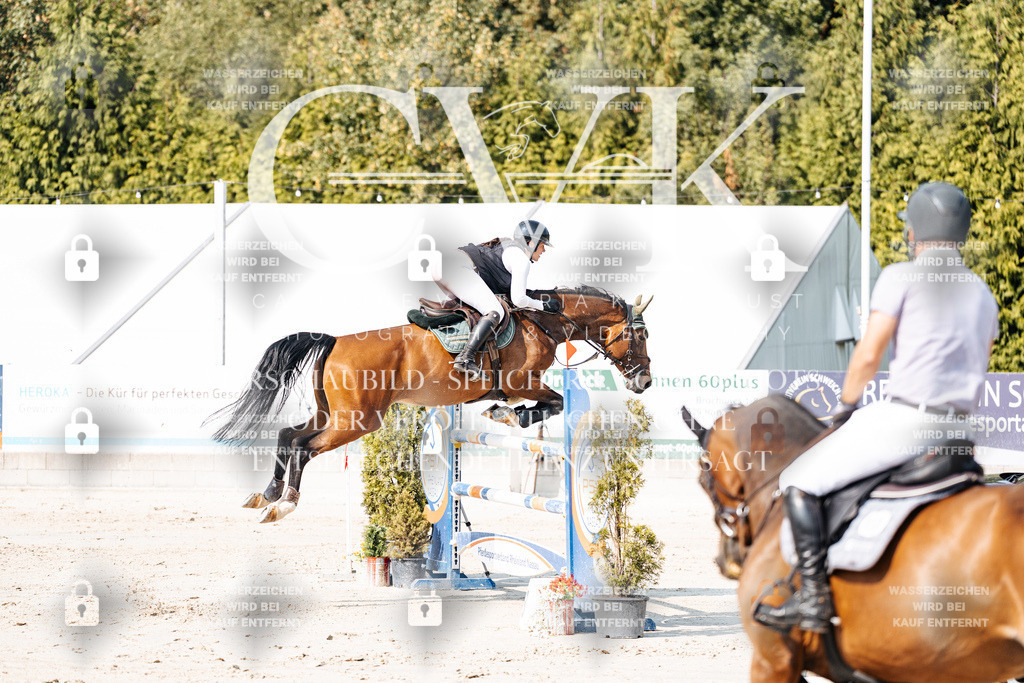 CK902454 | Turnierfotografie Pferdefotografie Trier Rheinland-Pfalz Pferdesport Reitsport Tierfotografie Sportfotografie Pferdevideo Pferdevideografie Equestrianvideography equestrianphotography  - Realisiert mit Pictrs.com