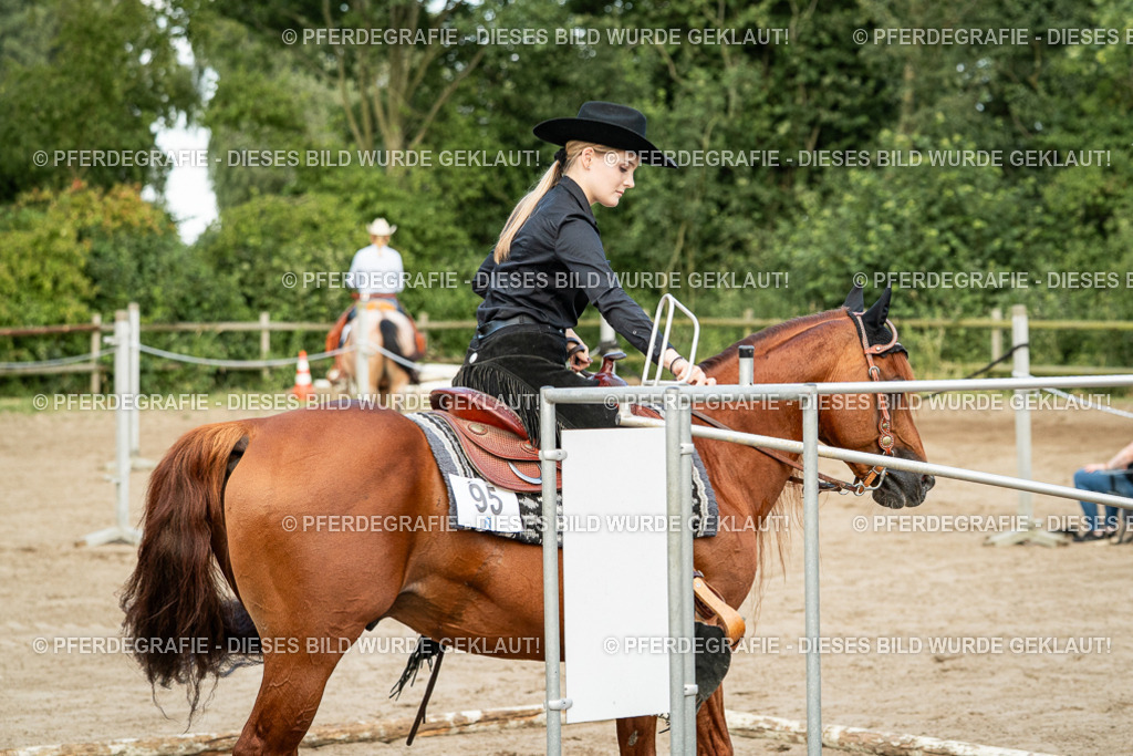 DSC06010 | Pferdegrafie