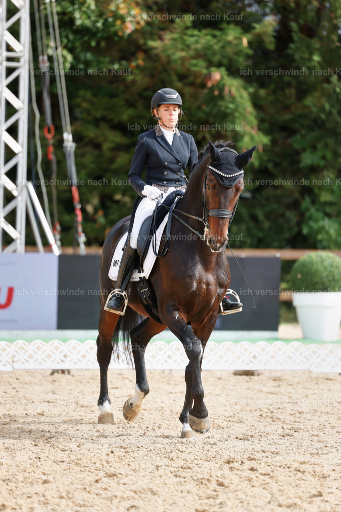 07-007-DRESSUR  S___  -StoibPH-5015 | working equitationturnier fotograf videograf stoibphotography marixx film working equitation deutschland reitsport turnierfotografie eventfotografie equestrian events