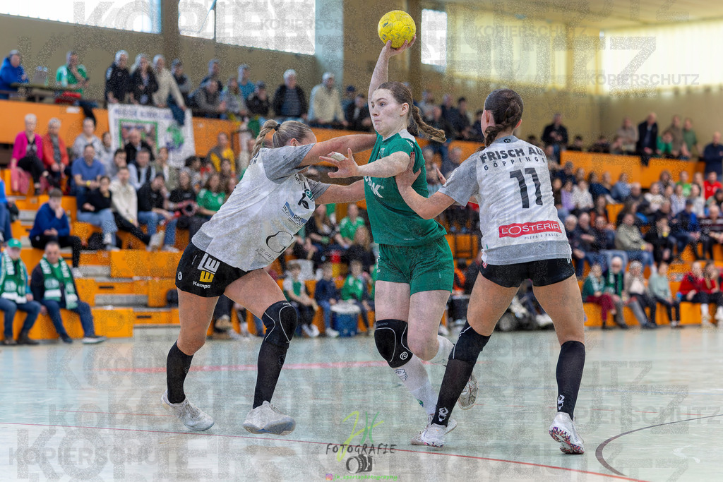 Jugendbundesliga wJA, Pokalrunde, HSG Kleenheim/Langgöns - Frisch Auf Göppingen | Jugendbundesliga wJA, Pokalrunde, HSG Kleenheim/Langgöns - Frisch Auf Göppingen am 28.02.2026 in Oberkleen (Weidig-Halle)Photo © 2026 - Jörg Heinrich - Realisiert mit Pictrs.com