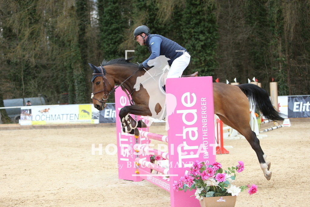 DL2Q9437 | Willkommen bei Brunnmayr - Design & Fotografie – Ihrem Spezialisten für Reitturniere und Pferdeveranstaltungen in Oberösterreich, Salzburg und Bayern! Seit über 17 Jahren sind wir leidenschaftlich dabei.