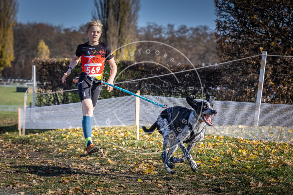 CaniXpix_DV3A8855 | Hundefotografie, Tierfotograf, Pfotenfotografie, Fotoshooting Hund, Hunde Portrait, Hundesport, Hundeportraits, Heideshooting, Hunde, Sportfotograf, Hundefotograf, Turnierhundsport, THS,  - Realisiert mit Pictrs.com