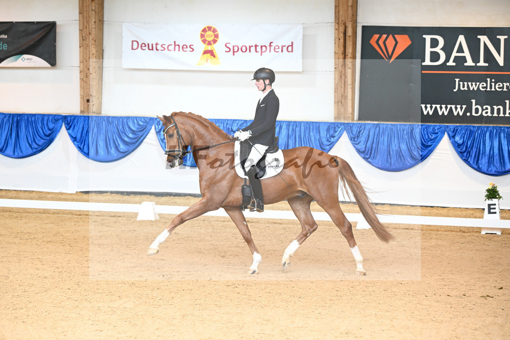 Kat-Nr. 66 Falcon Crest_Freund_14240860 | hf-fotografie - Realisiert mit Pictrs.com